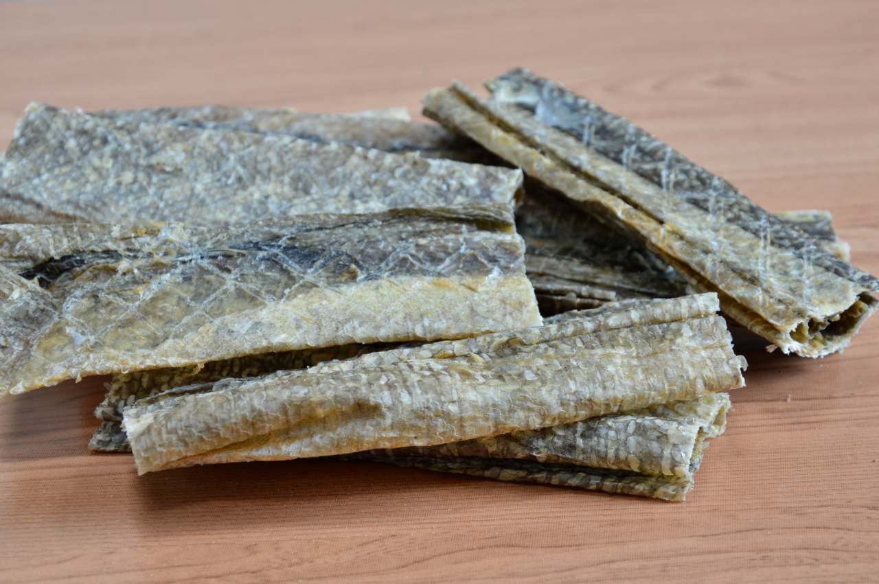 A Guide to Fish Skin Dog Treats (by Jo the Vet) - Kip & Twiggy's