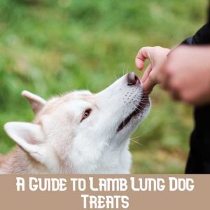 lamb lung dog treats